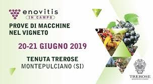 Dettaglio